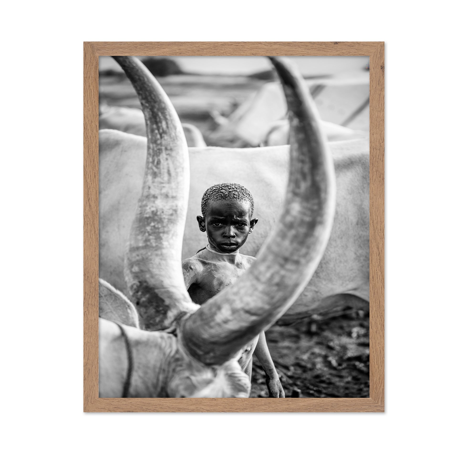 Herd Boy Portrait