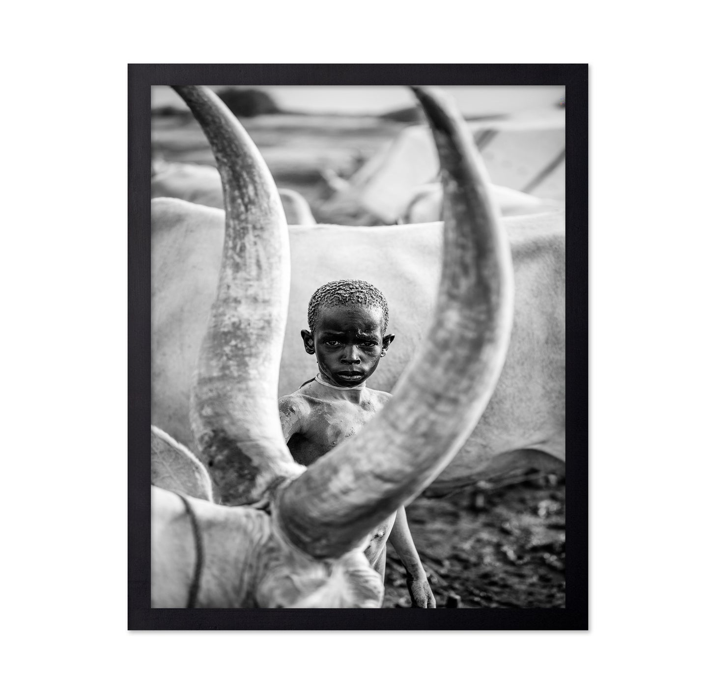 Herd Boy Portrait
