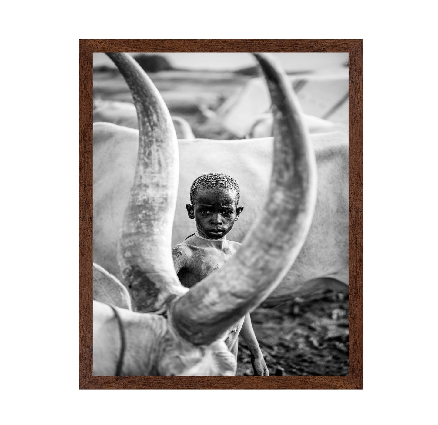 Herd Boy Portrait