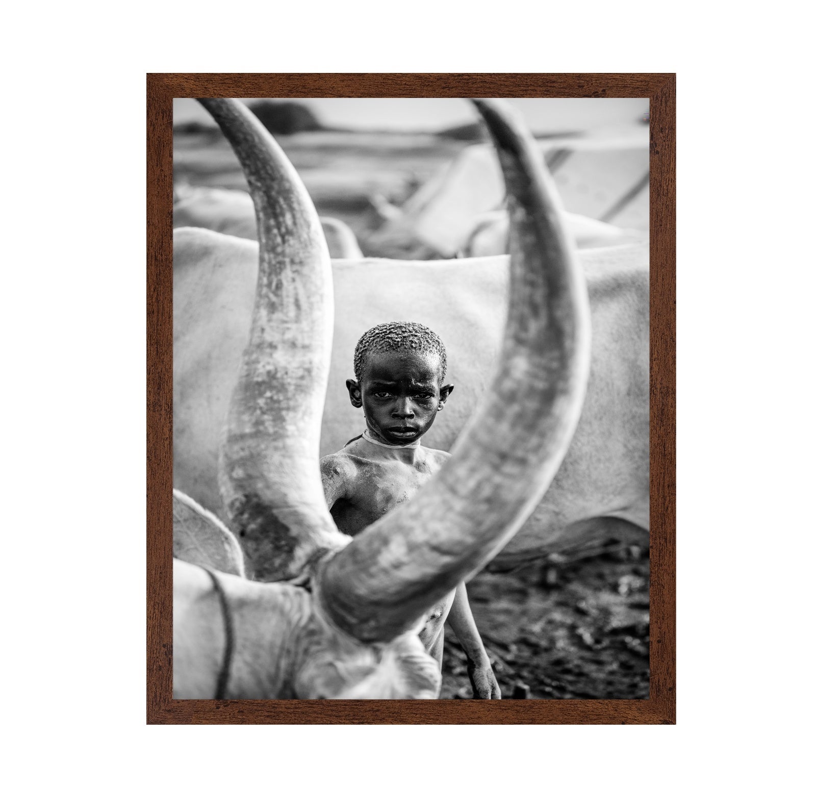 Herd Boy Portrait