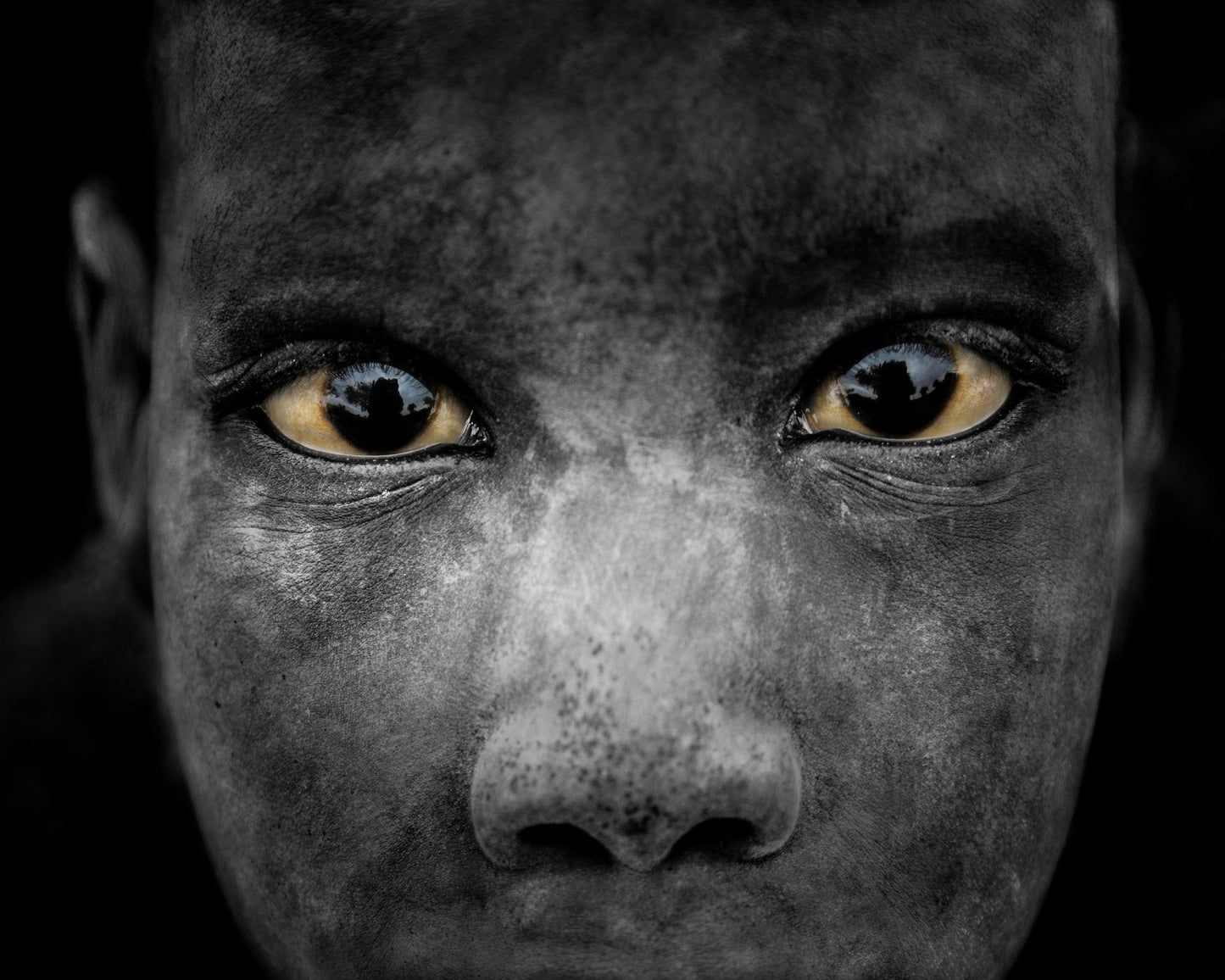 Golden Eyes Gaze
