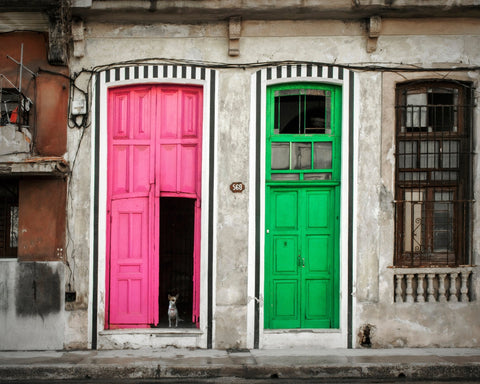Colorful Door Contrast