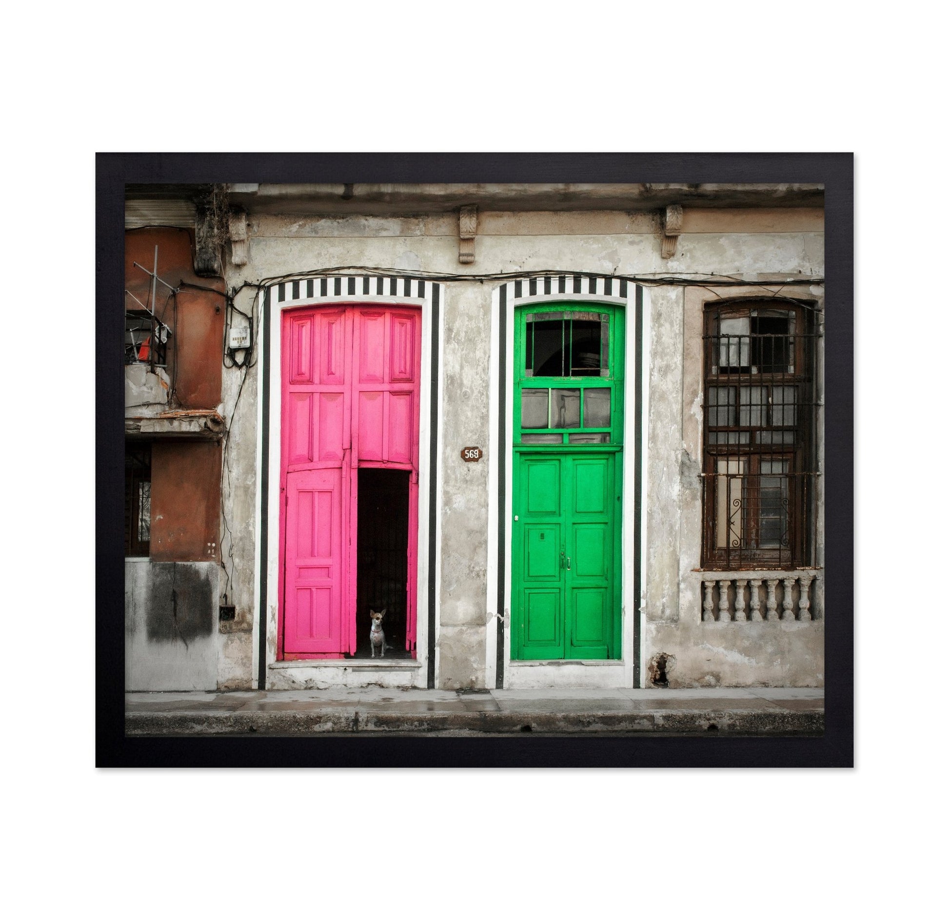 Colorful Door Contrast
