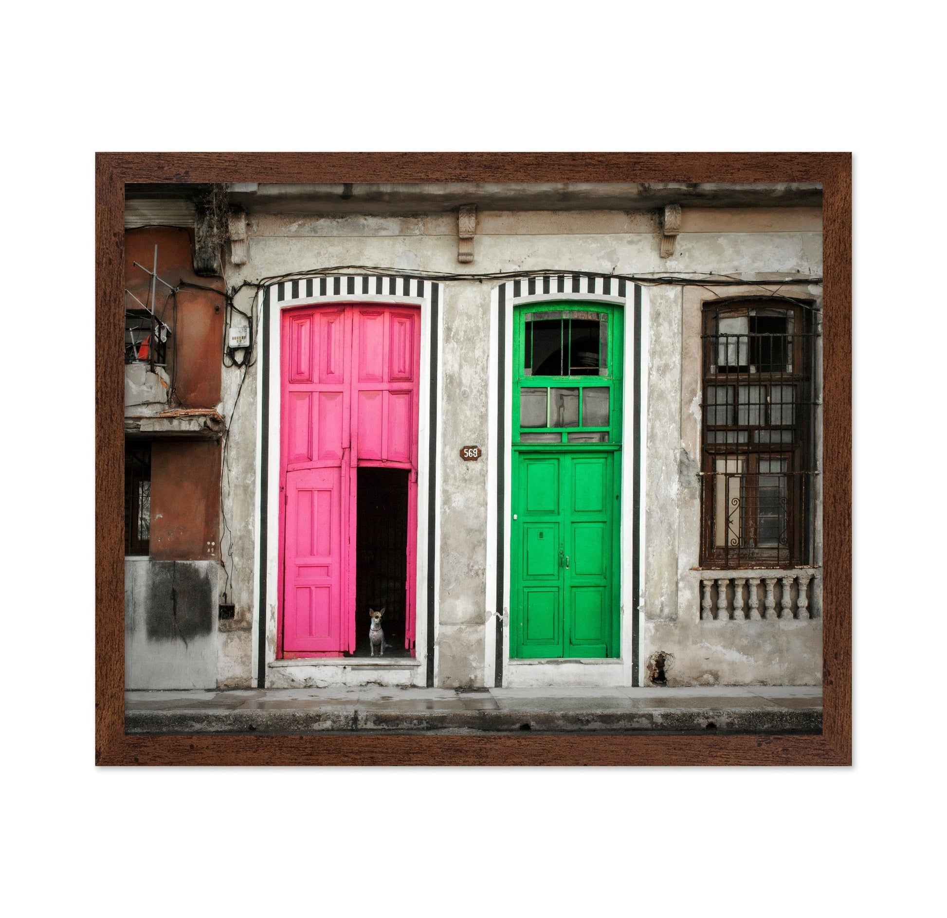 Colorful Door Contrast