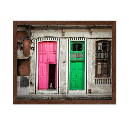 Colorful Door Contrast