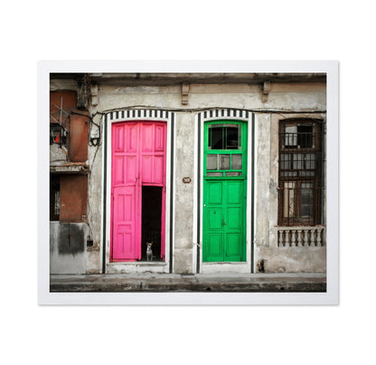 Colorful Door Contrast