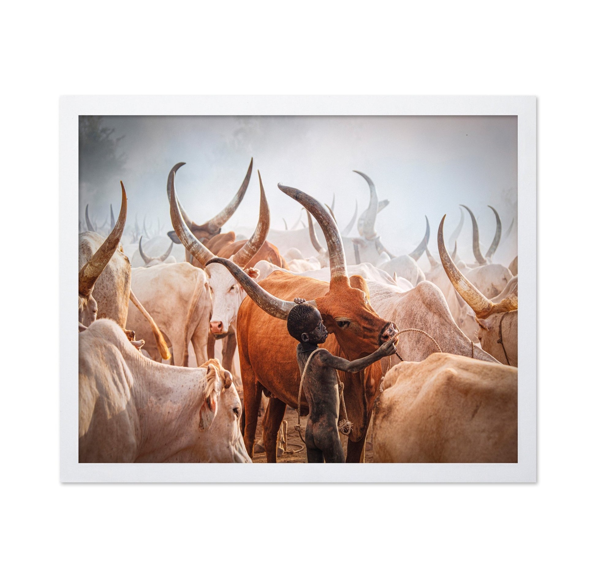 Herd Boy and Longhorn