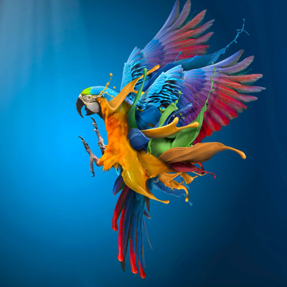 Color Splash Parrot