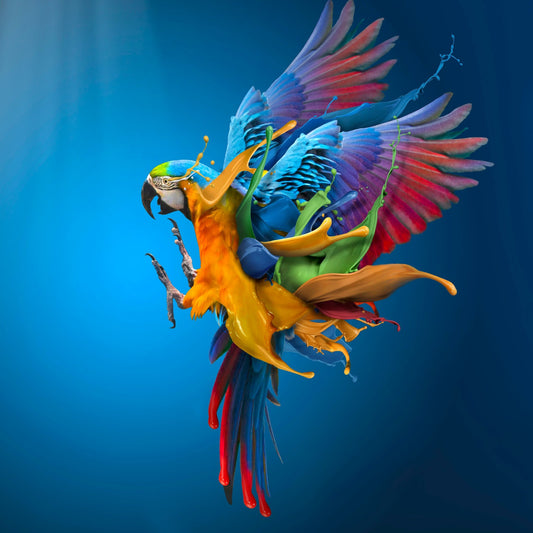 Color Splash Parrot