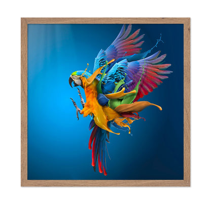 Color Splash Parrot