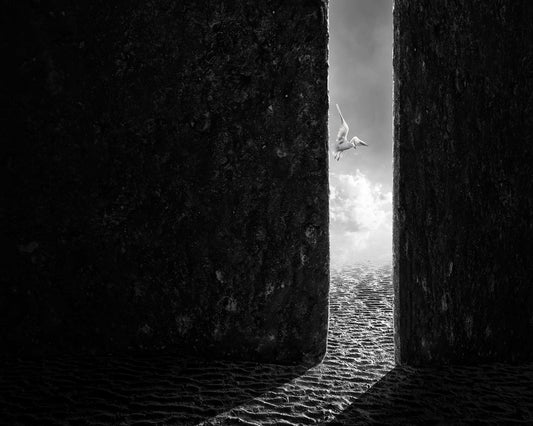 Light Between Walls