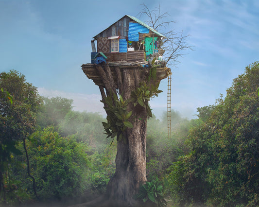 Hidden Treehouse