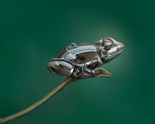 Mechanical Frog