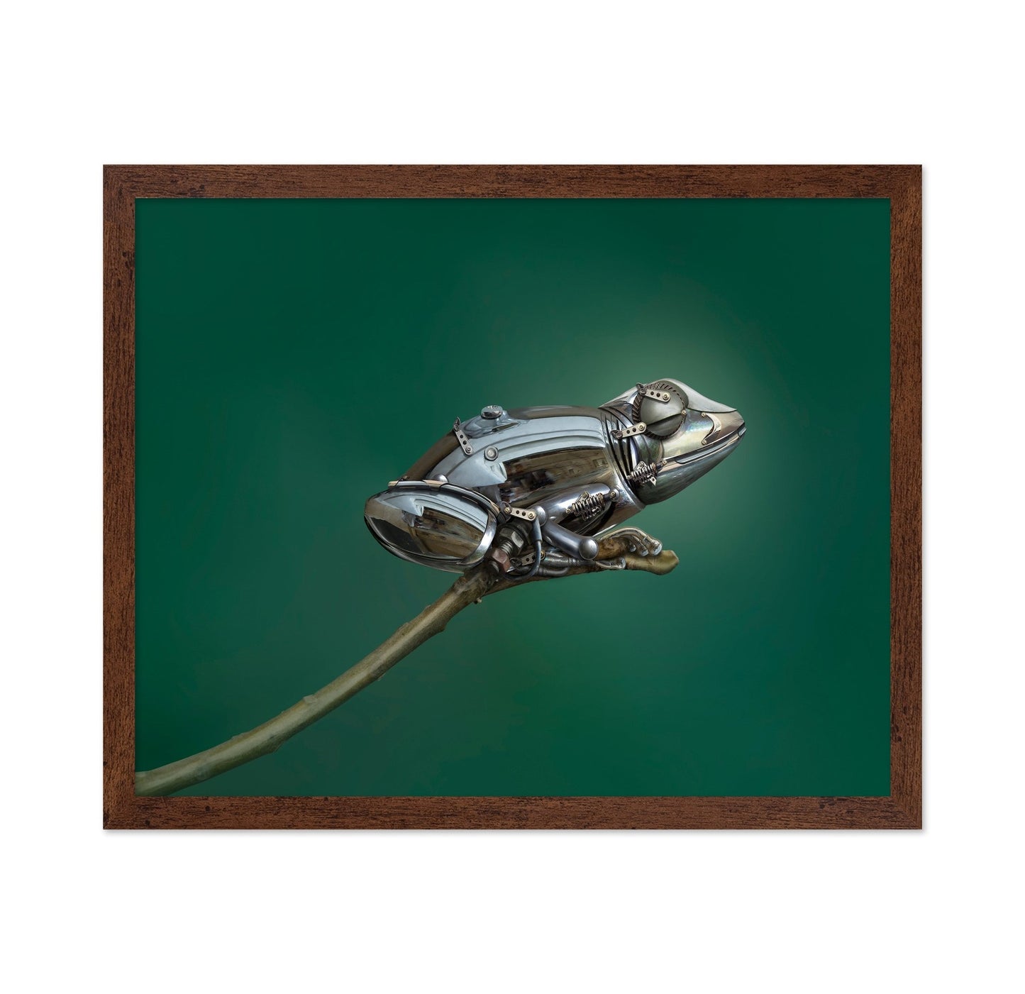 Mechanical Frog