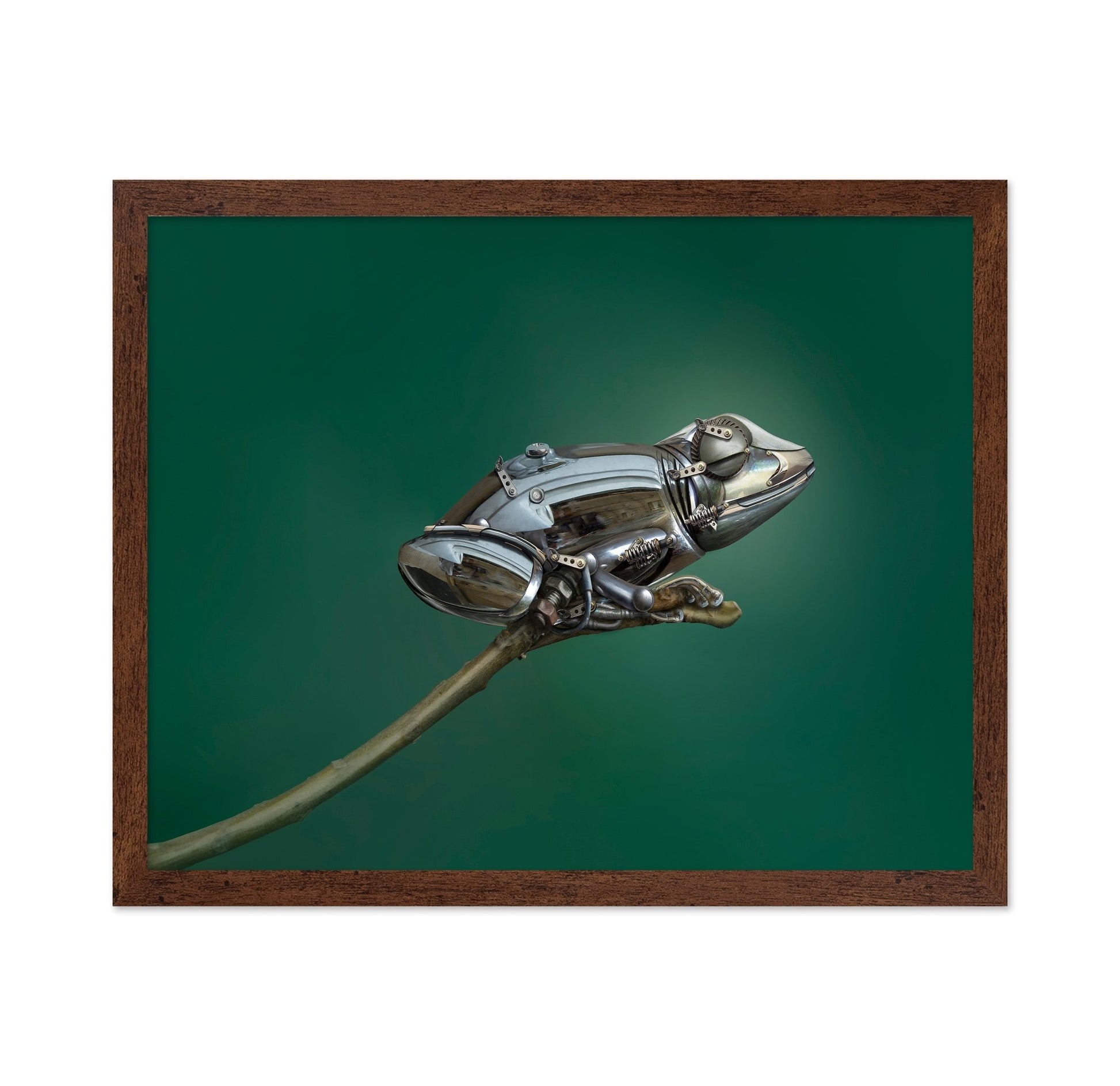 Mechanical Frog