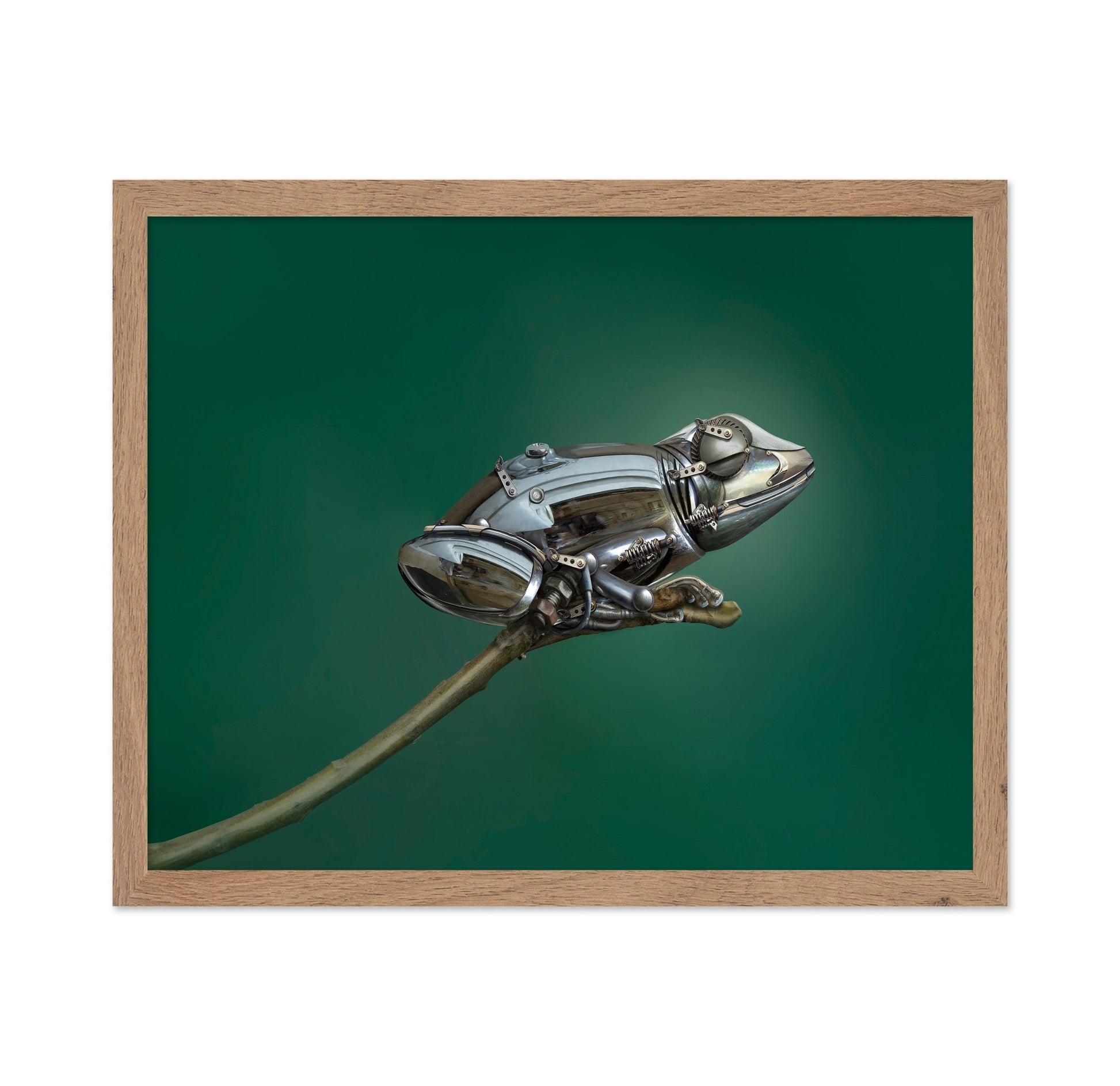 Mechanical Frog