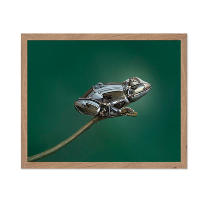 Mechanical Frog