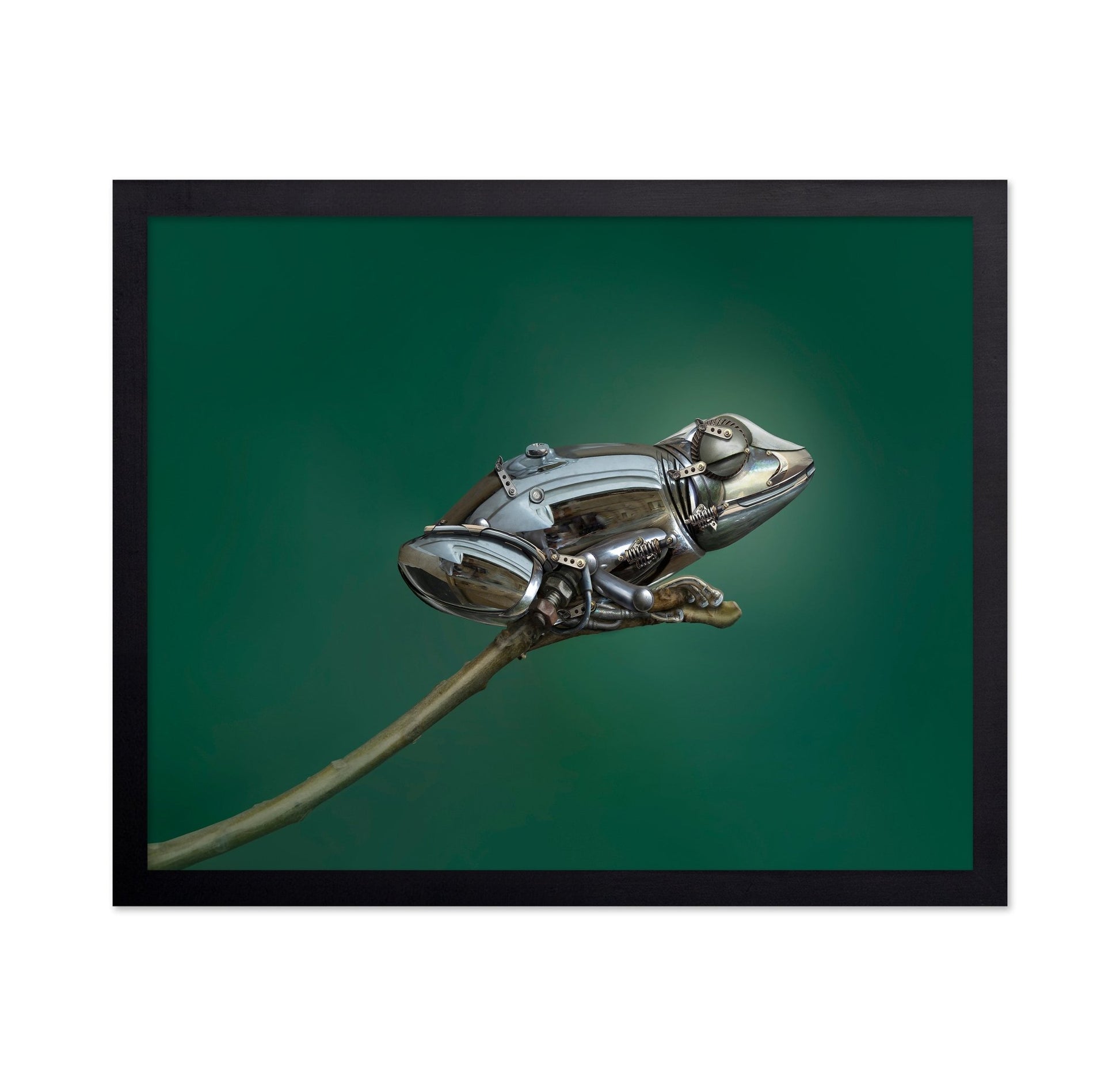 Mechanical Frog