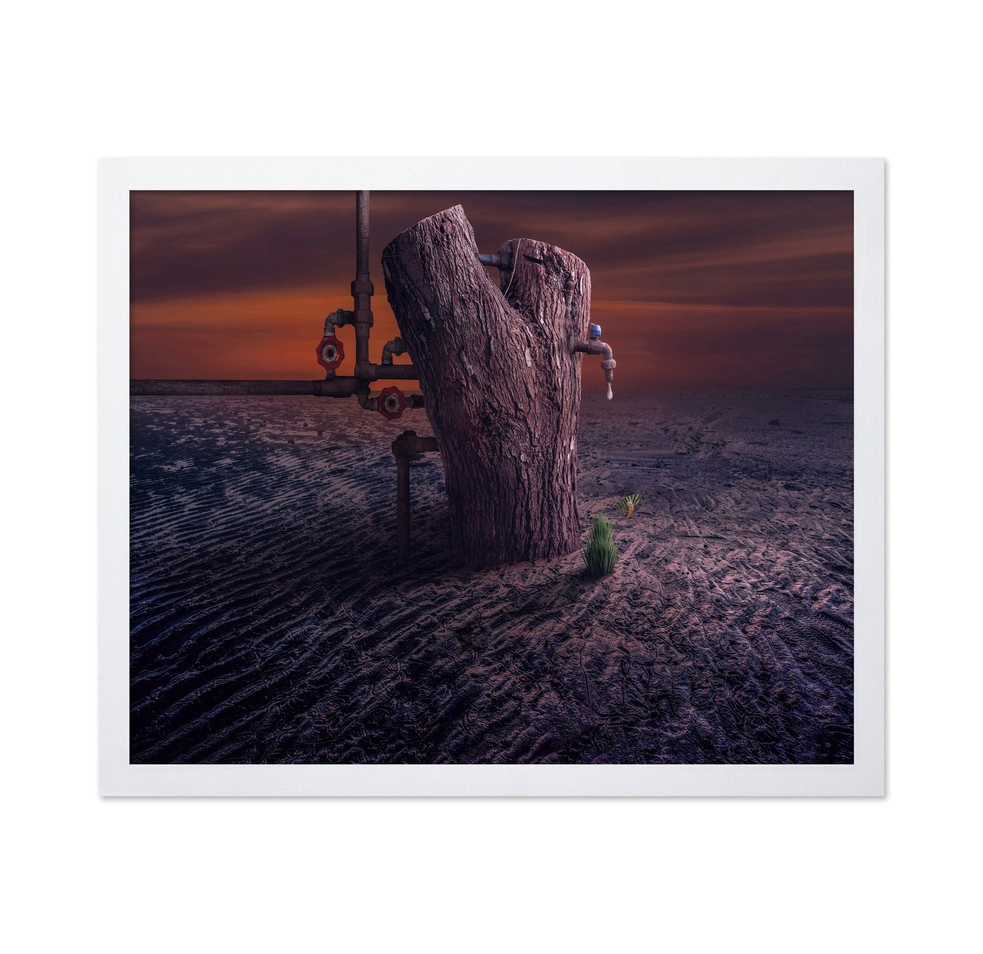 Tree Faucet Surreal Print