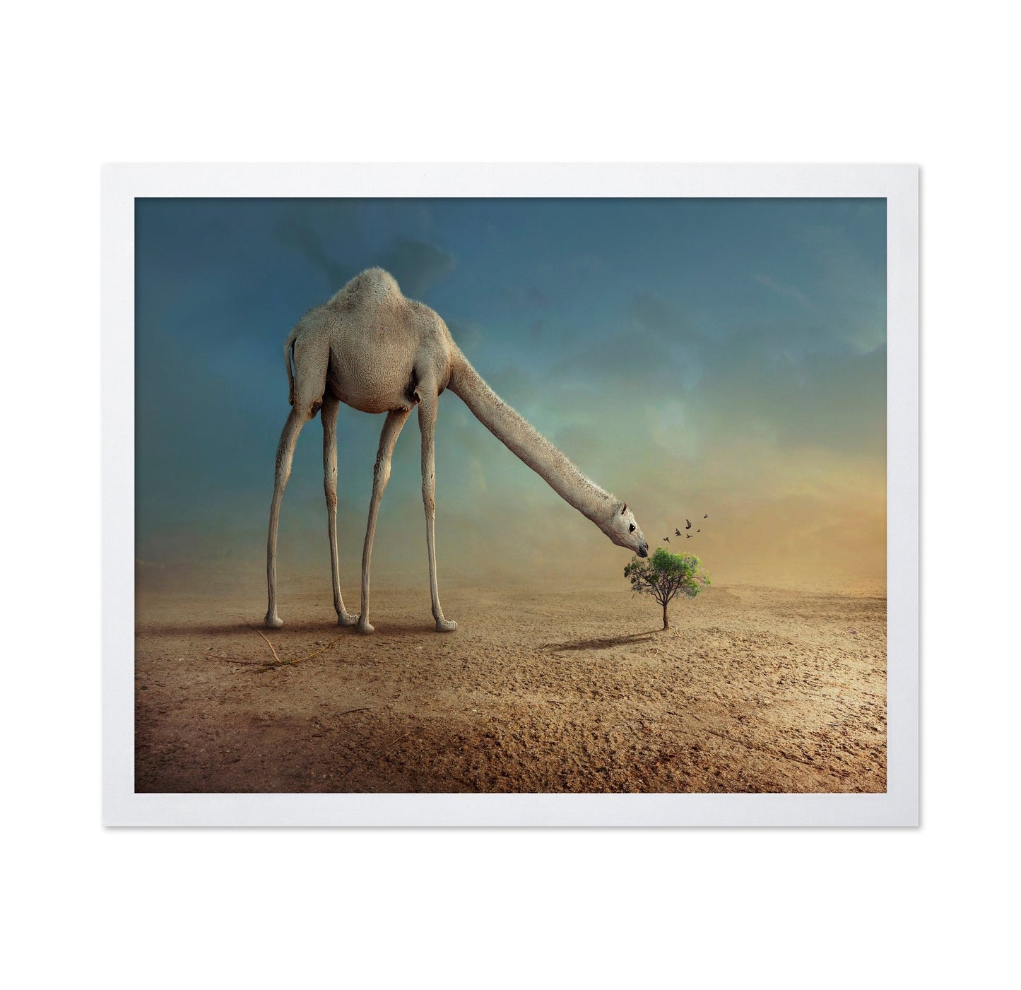 Long Neck Camel