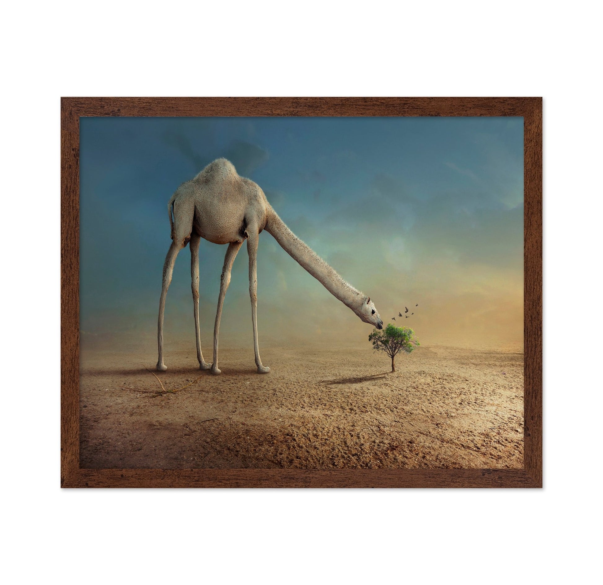 Long Neck Camel