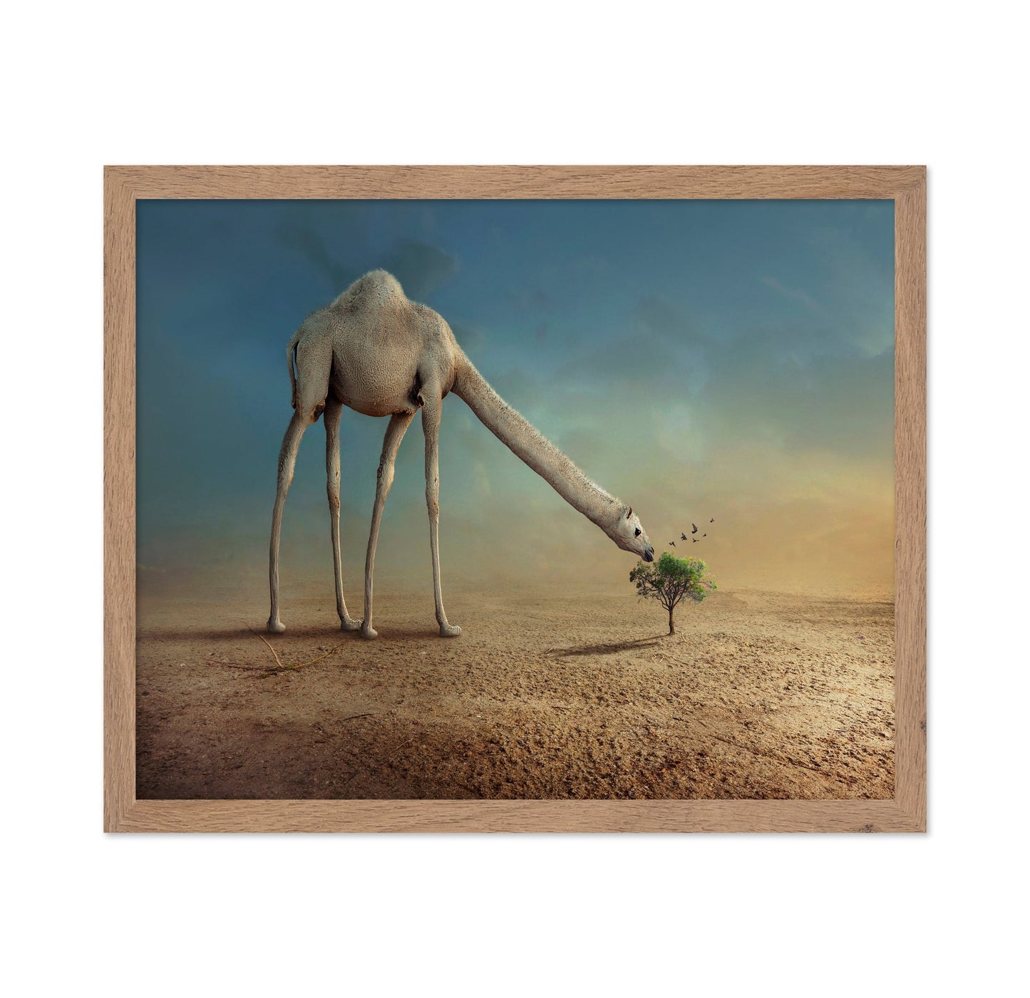 Long Neck Camel