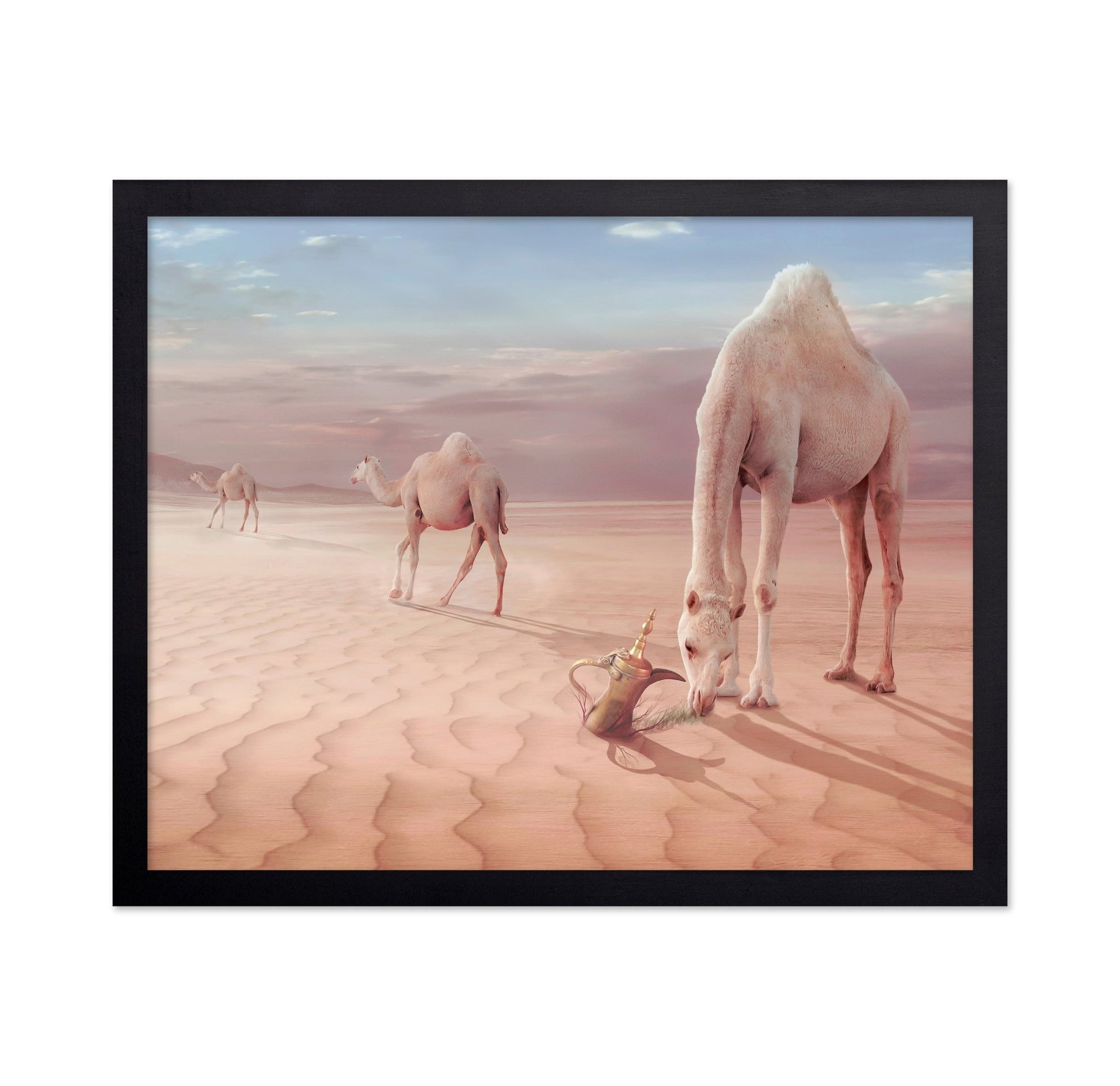 Desert Camels Scene