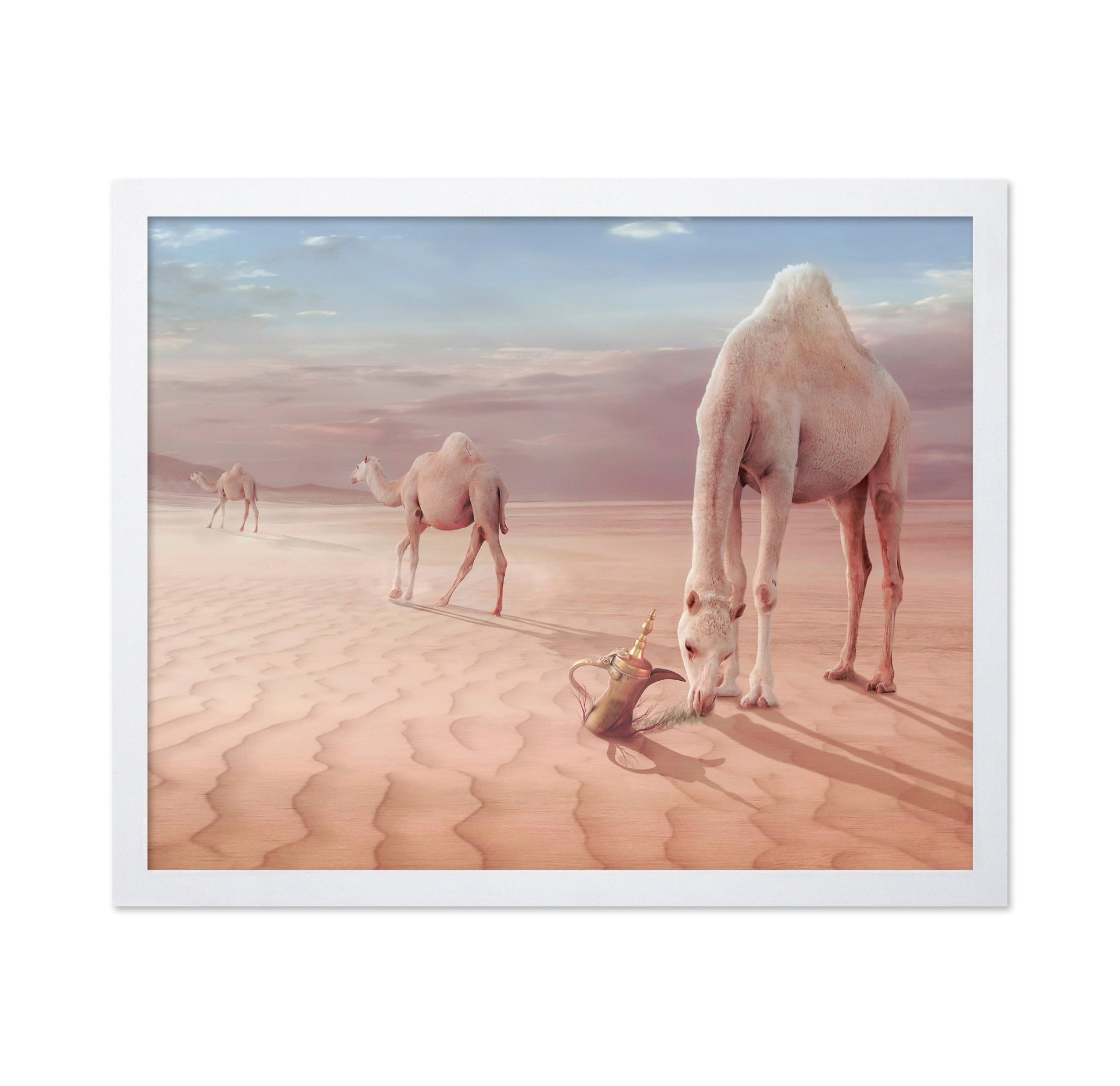 Desert Camels Scene