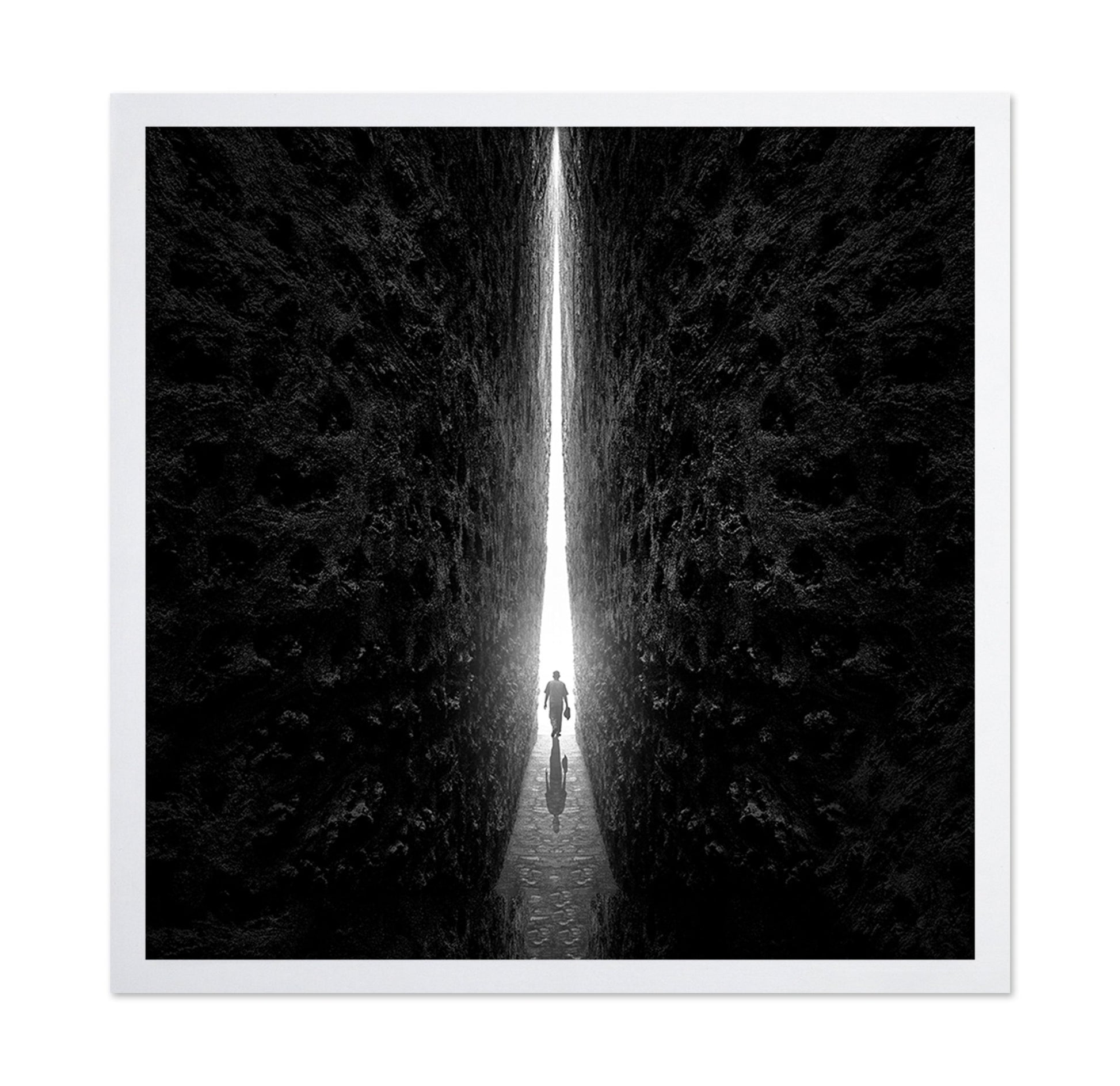 Walk Toward Light