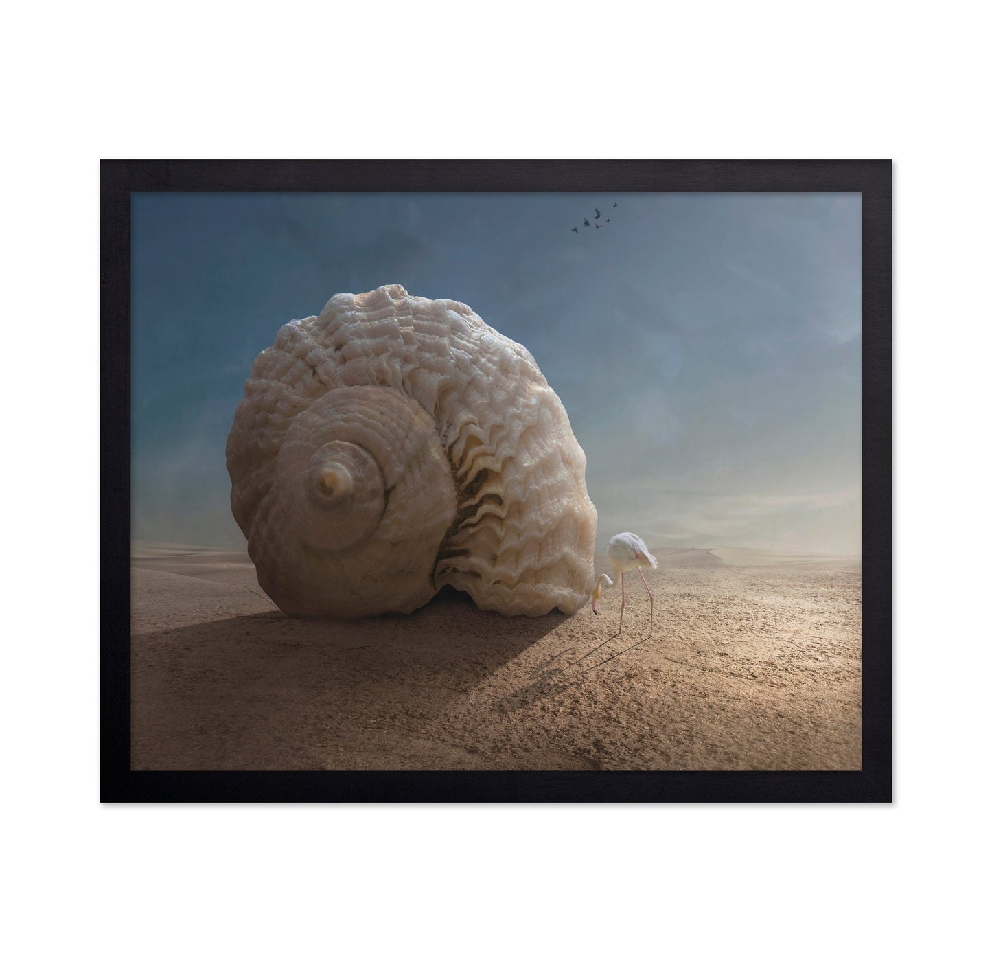 Giant Shell Desert