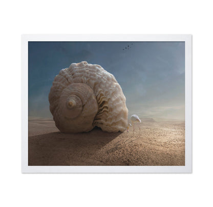 Giant Shell Desert