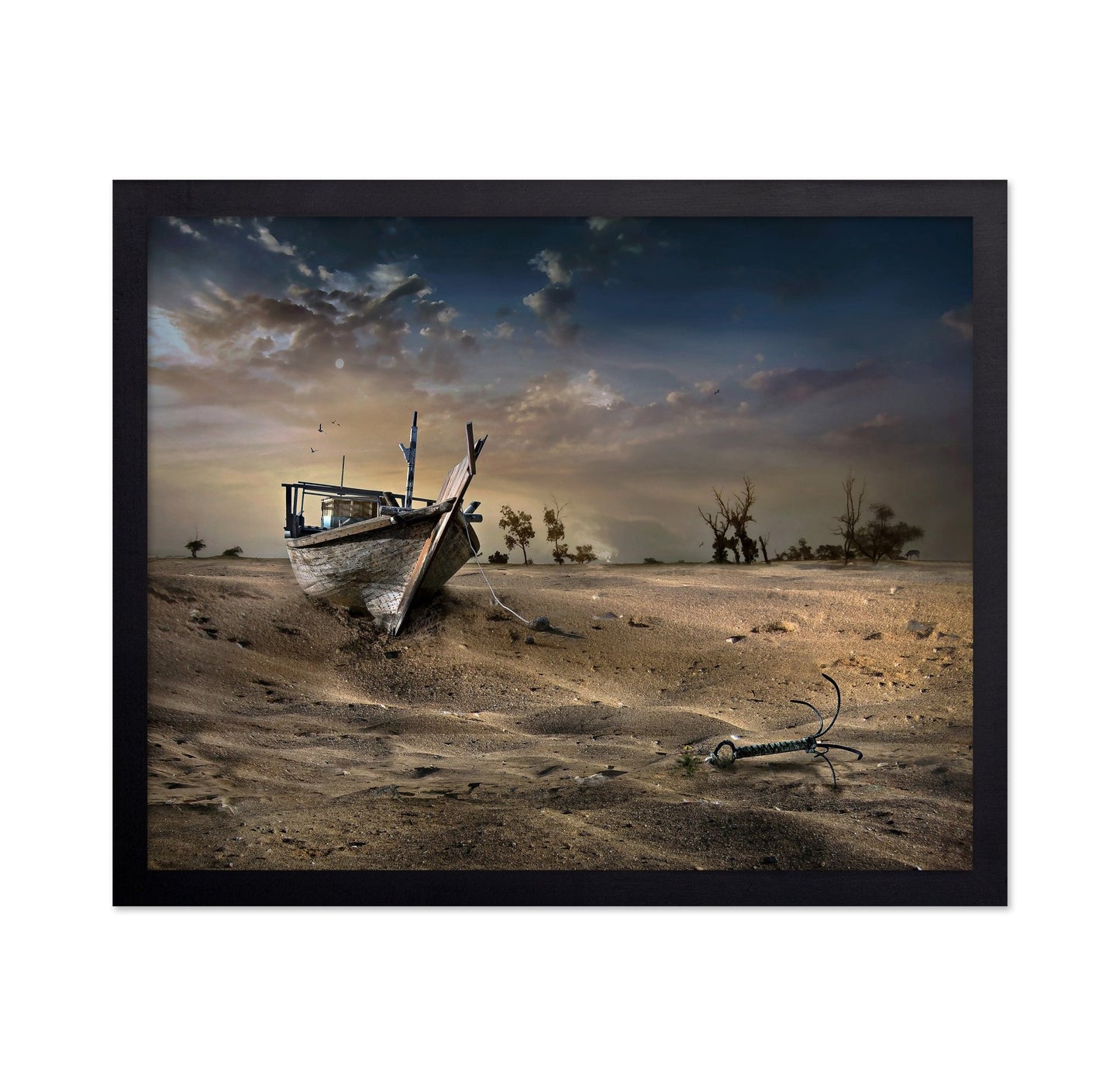 Desert Shipwreck