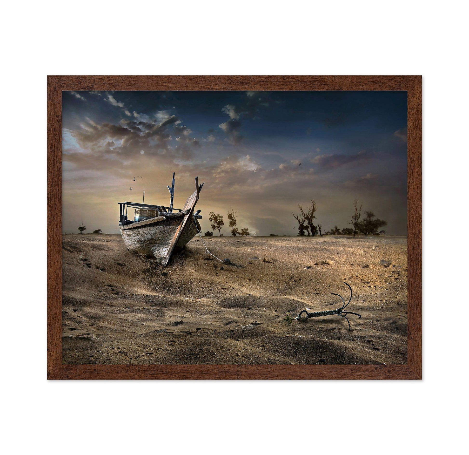 Desert Shipwreck