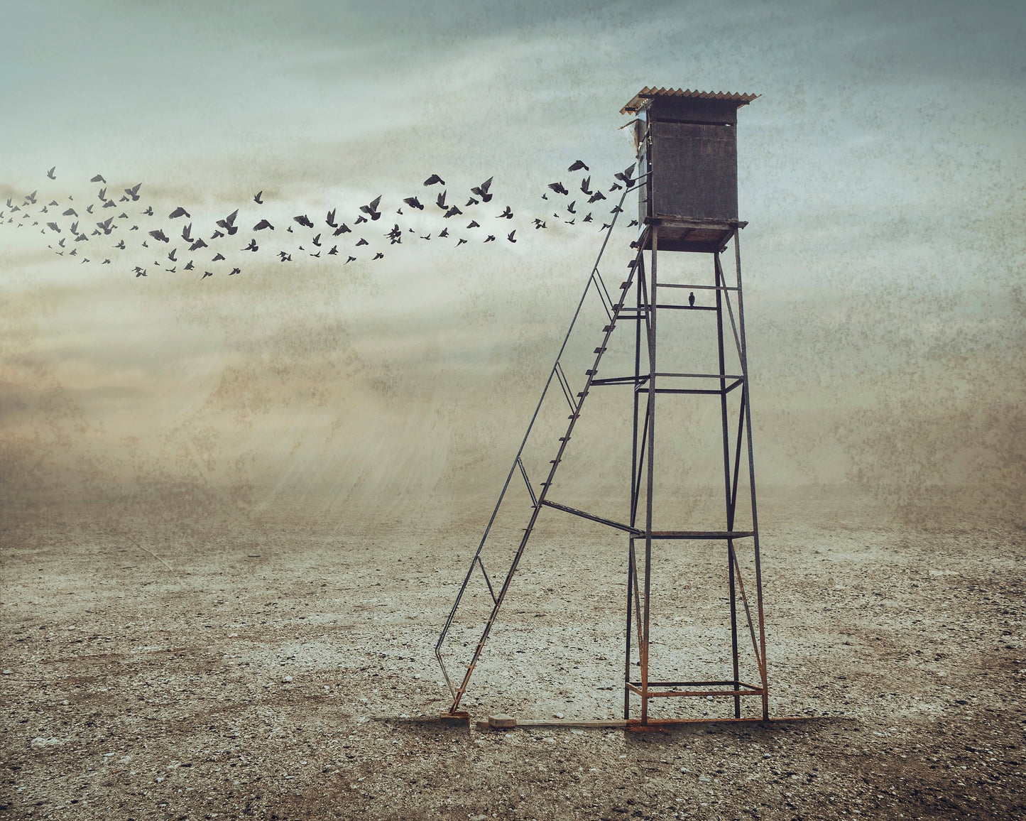Lonely Watchtower