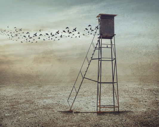 Lonely Watchtower