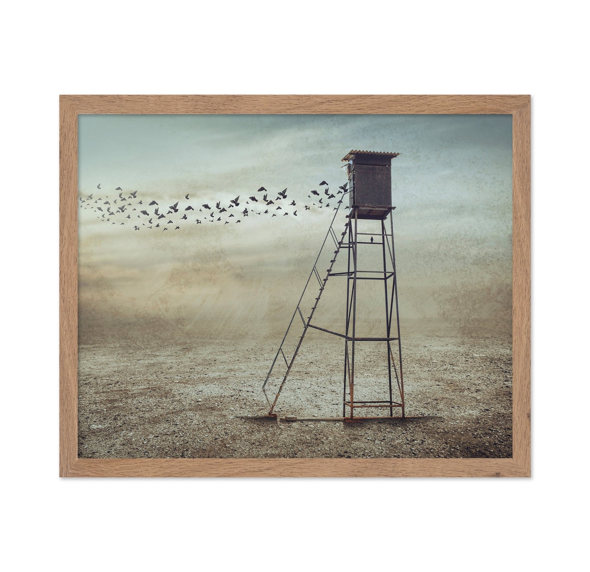 Lonely Watchtower