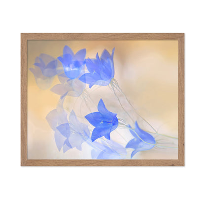 Blue Floral Echo