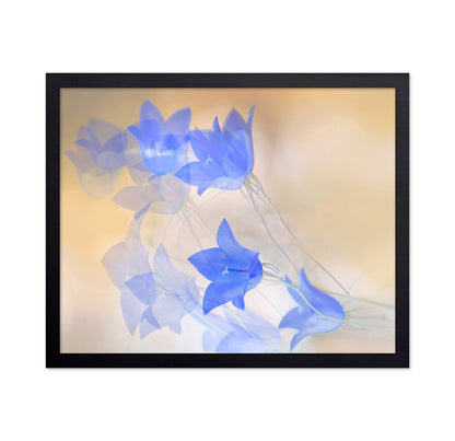 Blue Floral Echo