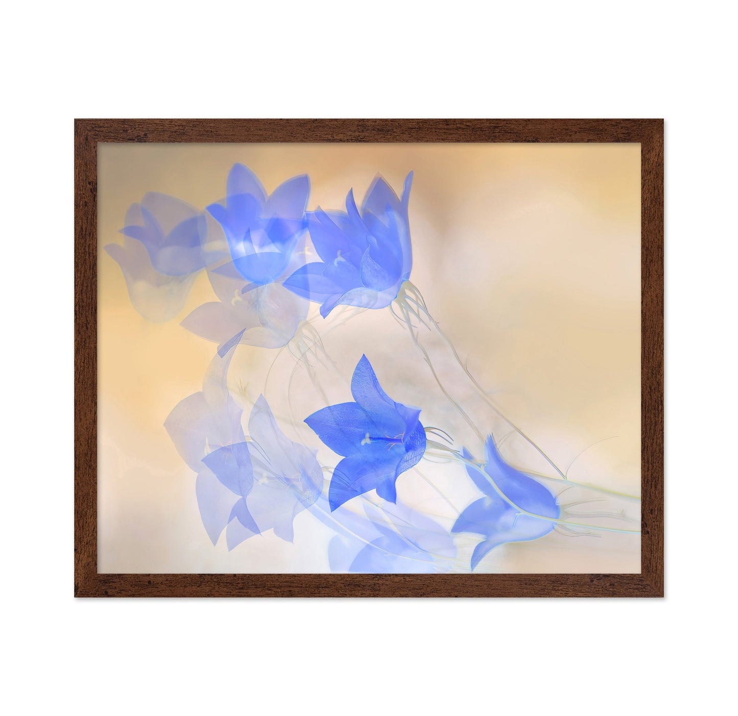 Blue Floral Echo