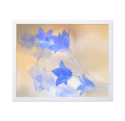 Blue Floral Echo