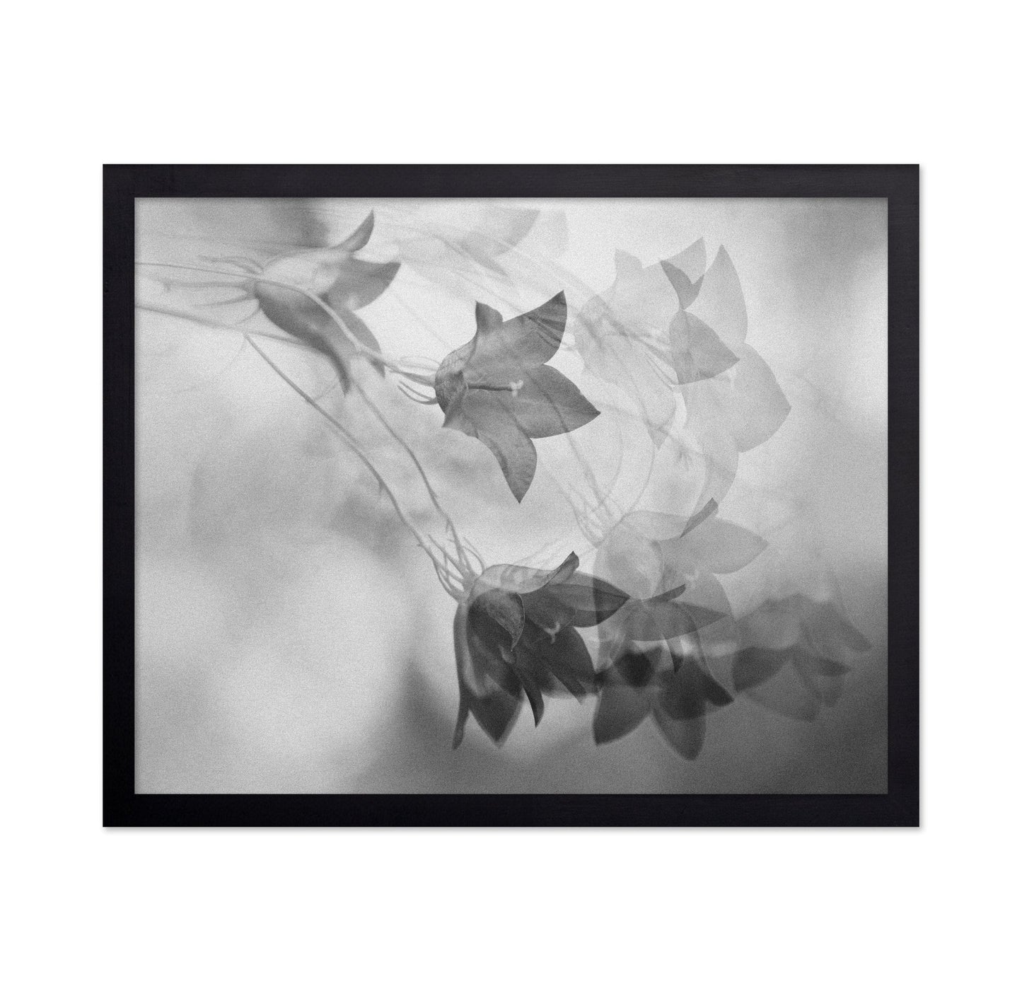 Ghosted Floral Layers