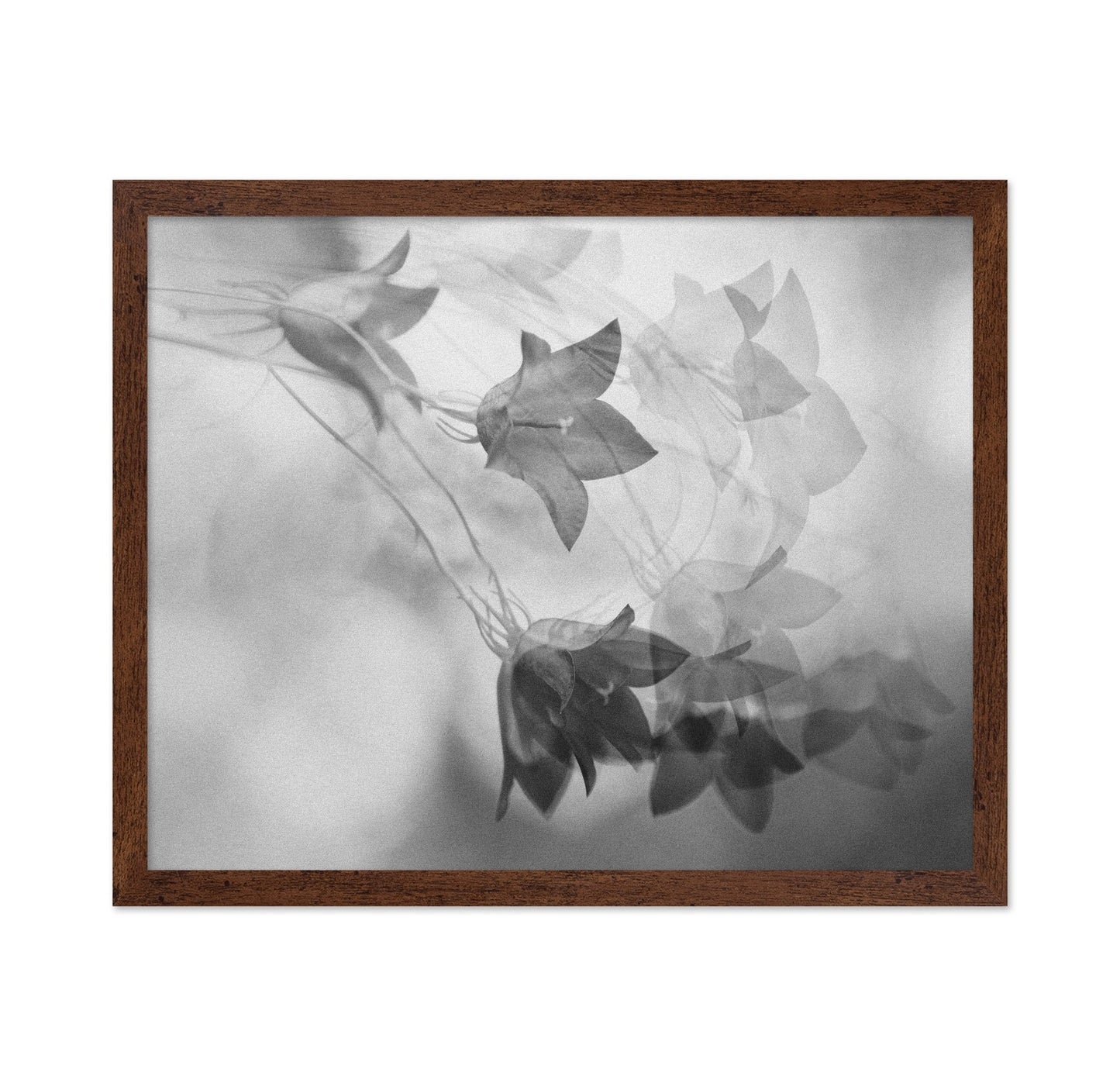 Ghosted Floral Layers