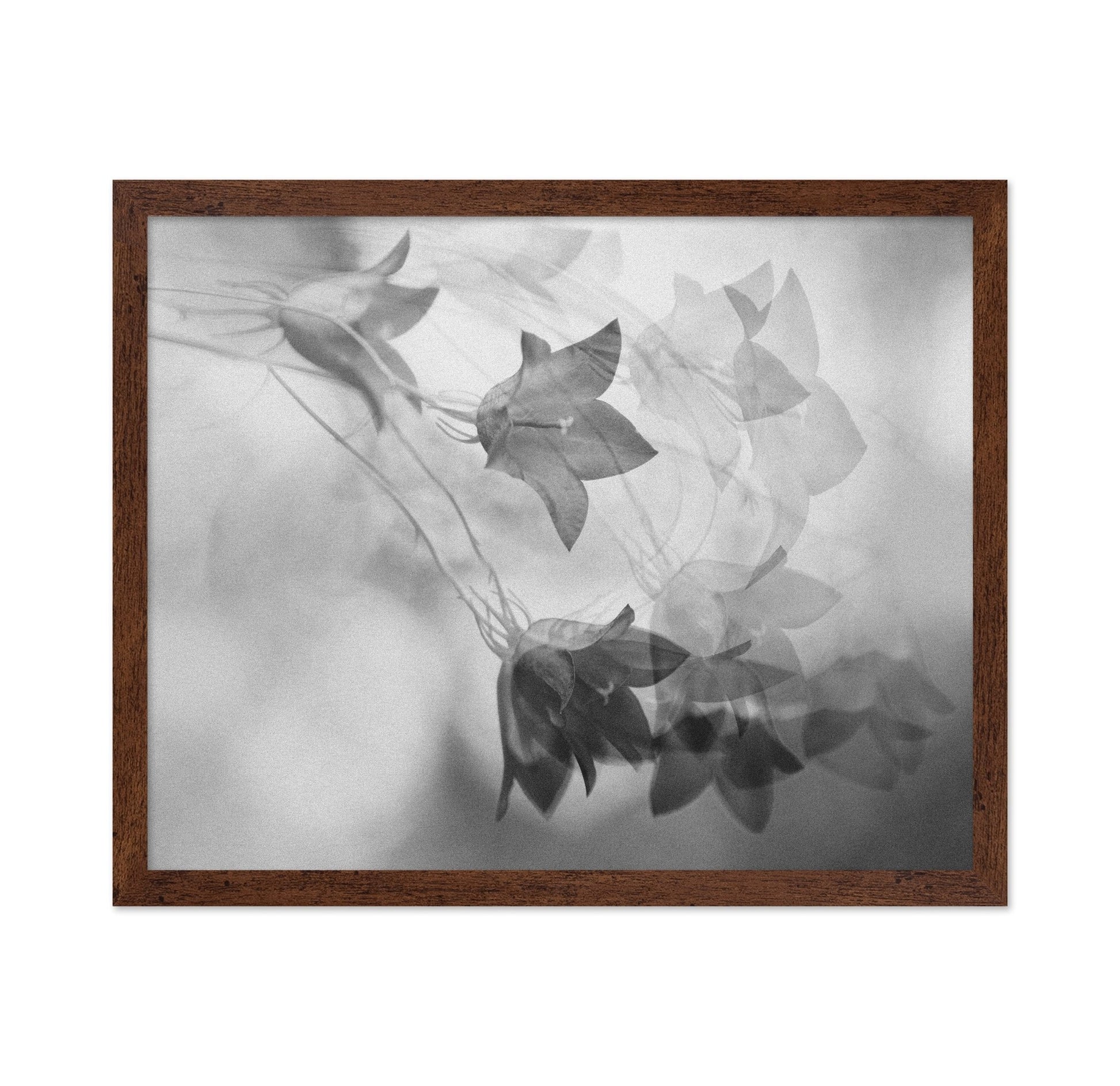 Ghosted Floral Layers