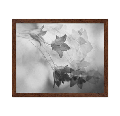 Ghosted Floral Layers