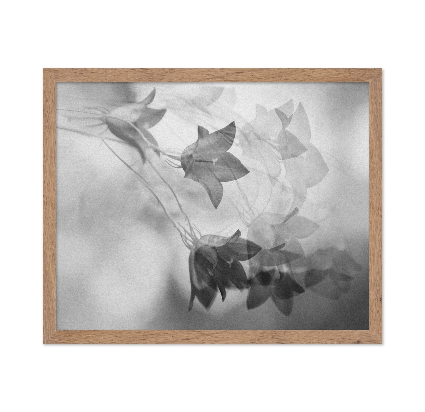 Ghosted Floral Layers