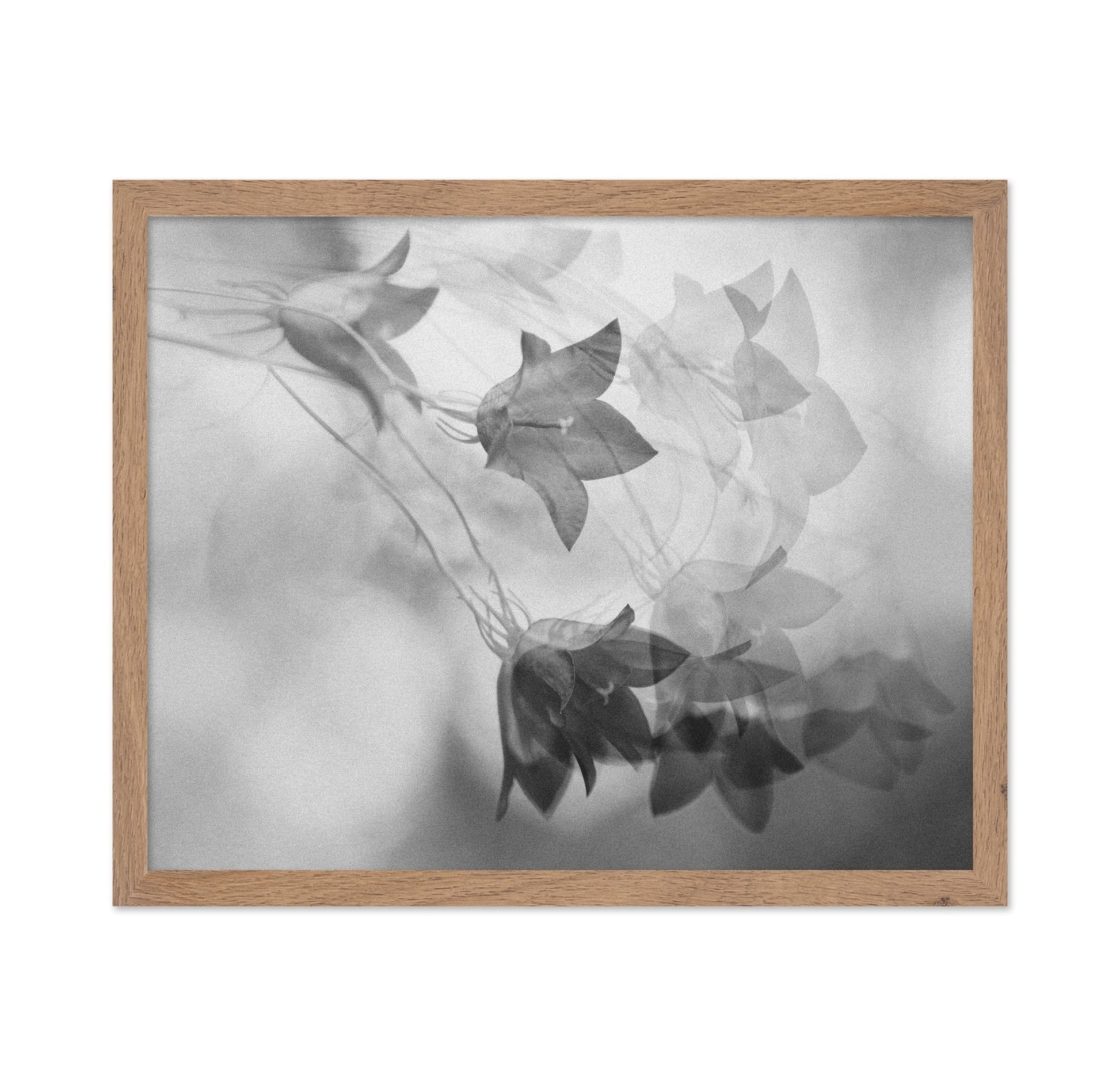 Ghosted Floral Layers
