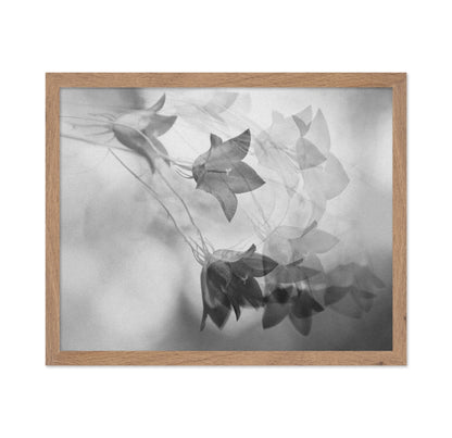 Ghosted Floral Layers