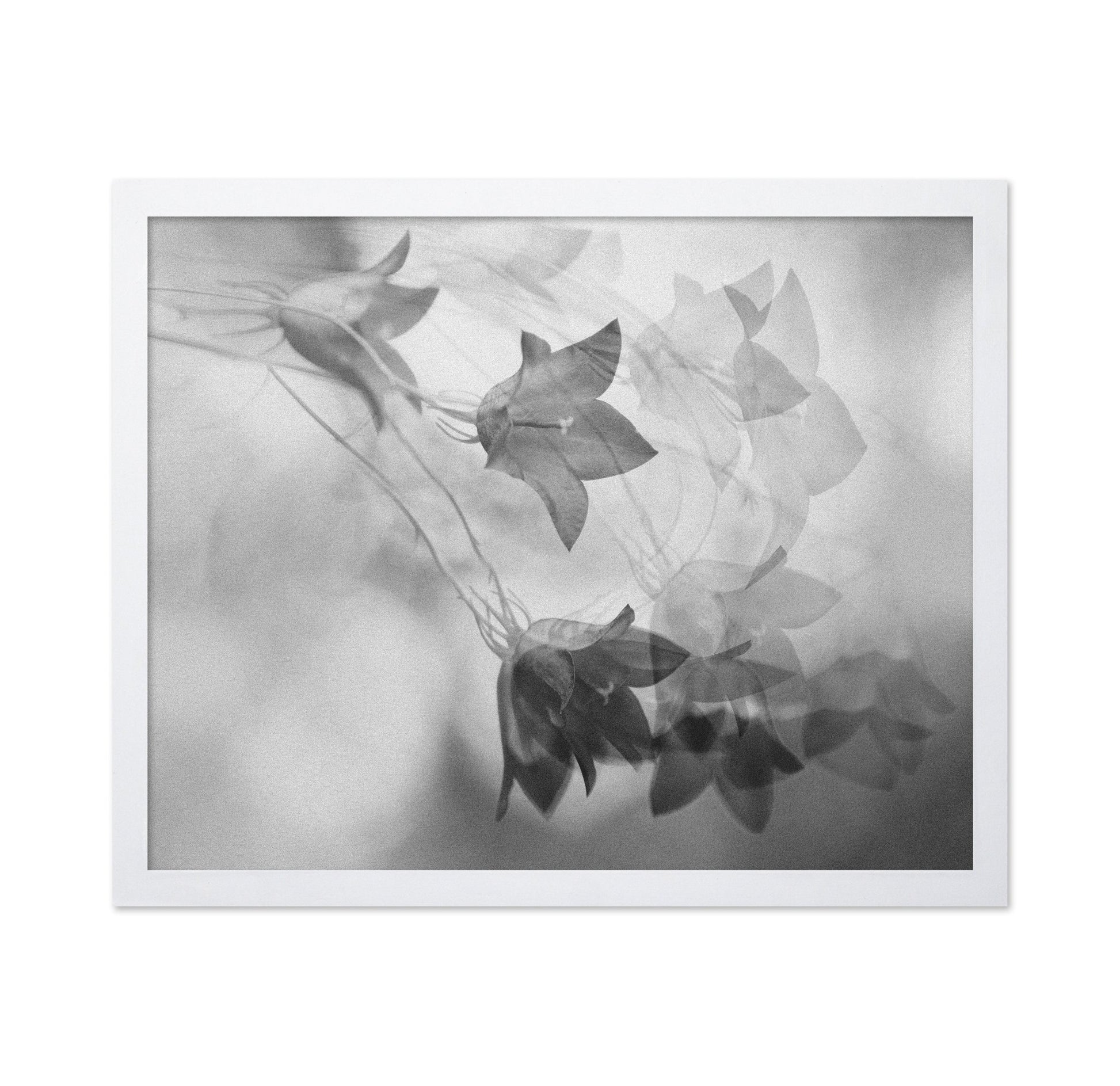 Ghosted Floral Layers