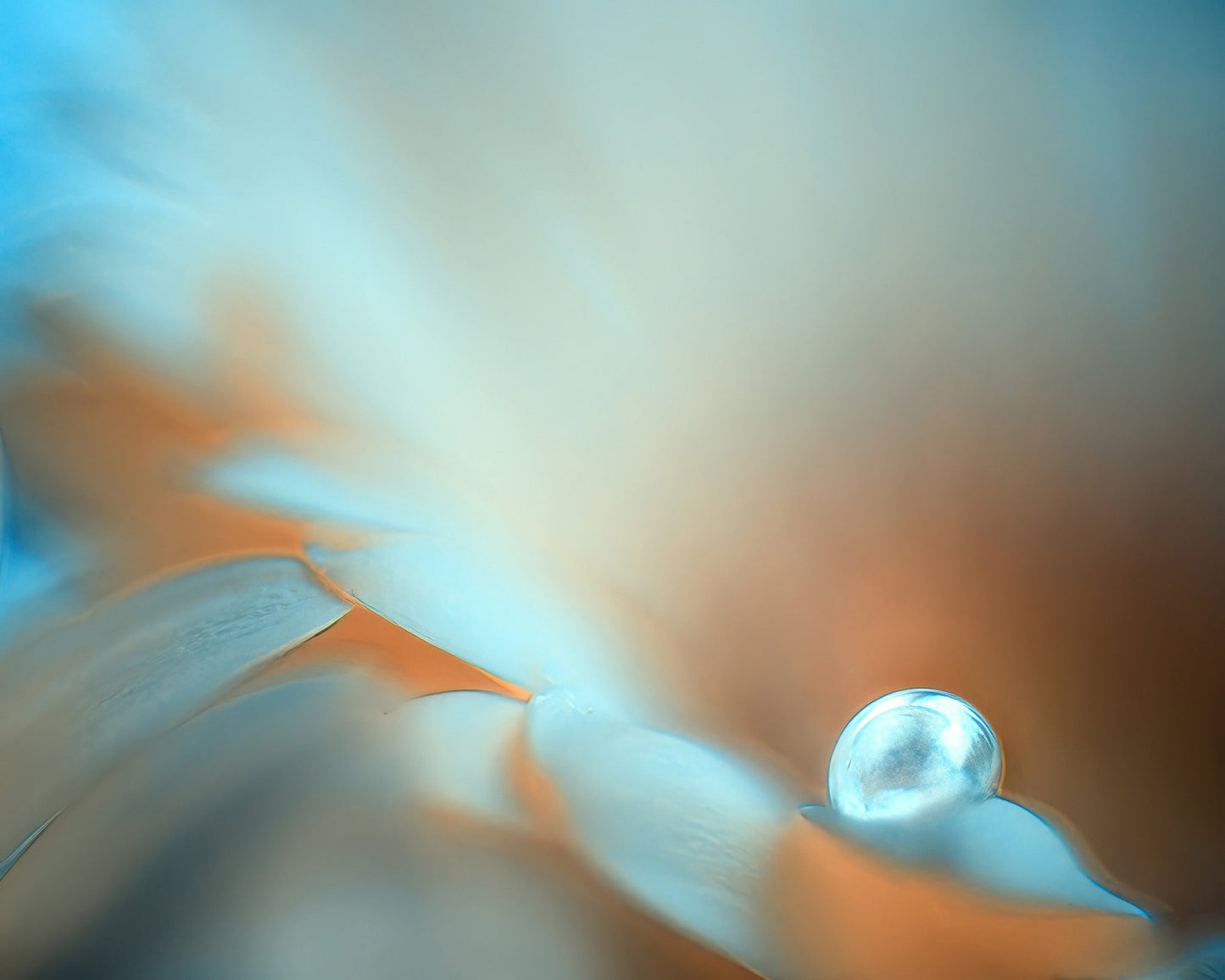Dewdrop Glow