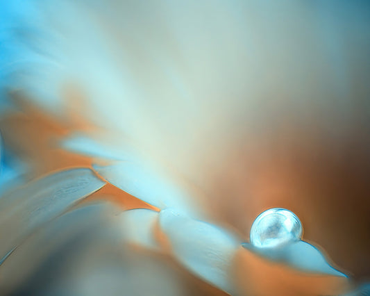 Dewdrop Glow
